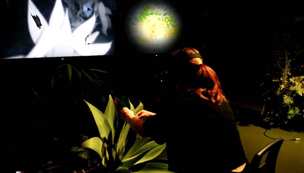 Contact Zone_at the Agave